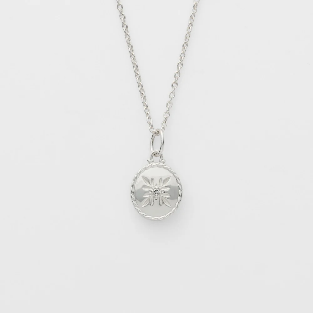 Silver Necklace Charm Set - Image 2