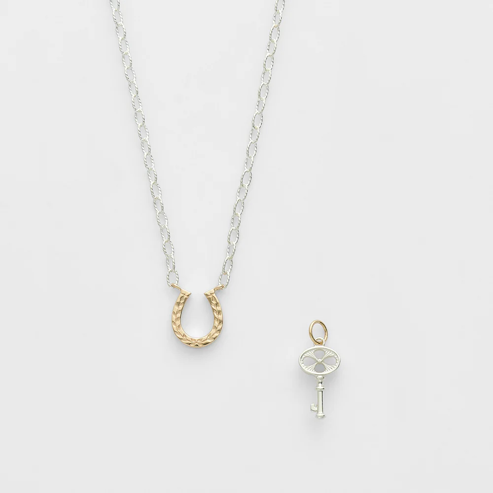 2026 Limited Edition Silver/K10 Necklace Charm Set - Image 4
